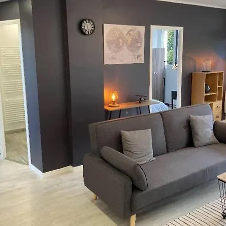 Chambre Dans Une Collocation *